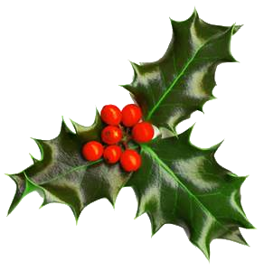 Holly