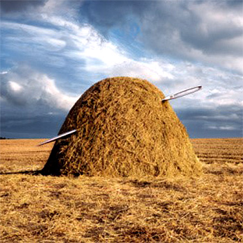 Haystack