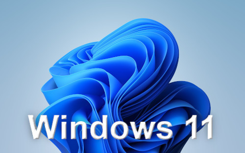 Windows 11