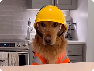Ted with Hard Hat